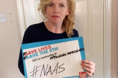 National Canvass Day:Naas