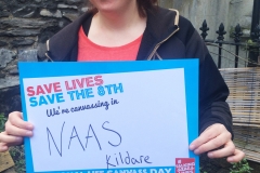 National Canvass Day: Naas