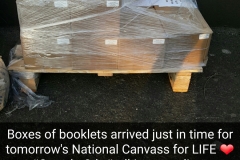 National Canvass Day: Booklets arriving in Cork
