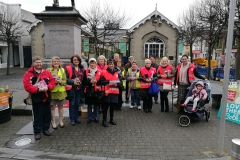 National Canvass Day: Wexford