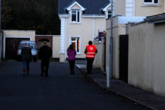 National Canvass Day: Tralee